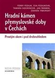 Hradní kámen přemyslovské doby v Čechách