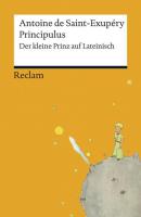 Principulus - Malý princ 